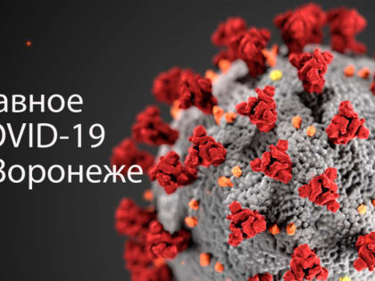Воронеж. Коронавирус. 1 января 2023 года