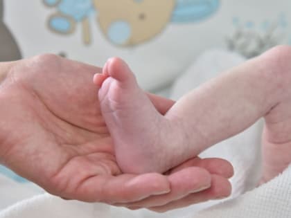 С помощью процедуры ЭКО в 2023 году в Воронежской области родился 171 ребенок