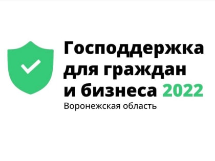 Господдержка