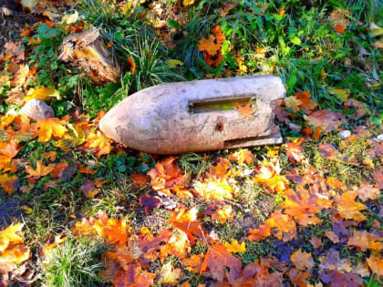 Двое подростков подорвались на снаряде в Черноземье