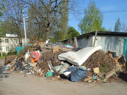 «Гигантскую кучу мусора рядом с жилыми домами не вывозят неделями»