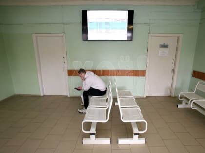 Заболеваемость ветрянкой, педикулёзом и гепатитом С выросла в Воронежской области в январе