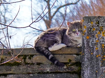 В январе 2025 года в Воронежской области сказка «Двенадцать месяцев» превратилась в реальность