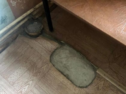 «Мама, зачем мы пришли в заброшенное здание»: воронежская поликлиника шокировала пятилетнюю пациентку