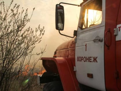 Больше часа пожарные тушили загоревшуюся траву в воронежском микрорайоне Боровое