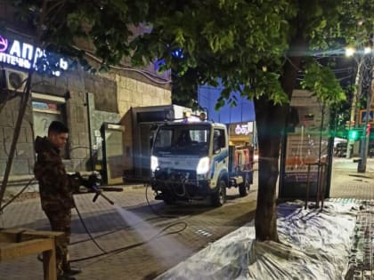 В Ленинском районе Воронежа усилили меры по уходу за зелеными насаждениями