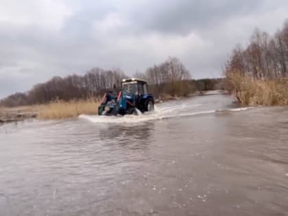 Школьников Терновского района Воронежской области перевели на дистант из-за паводка