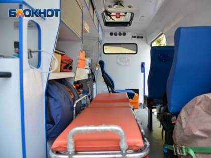 Дикий лось накинулся на мужчину в Воронежской области и едва его не убил