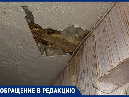 «Устали жить в страхе»: чего боятся воронежцы из девятиэтажки на Артамонова