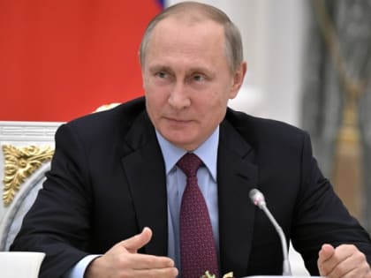 Путин похвалил Воронежскую область за успехи в сельском хозяйстве