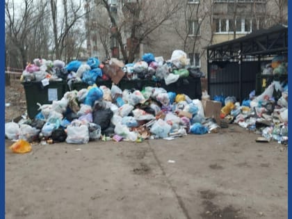 Жители Воронежа пожаловались на антисанитарные условия возле своего дома