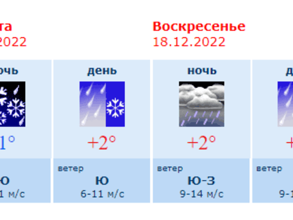 Прогноз погоды в Воронеже на субботу, 17 декабря