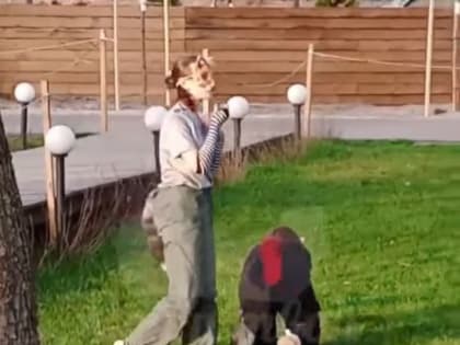 «Воронежские дети деградировали и&nbsp;встали на&nbsp;четвереньки?»