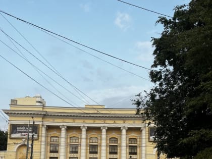 «Боюсь, что меня просто снесут»: воронежцы рассказали, что думают об электросамокатах