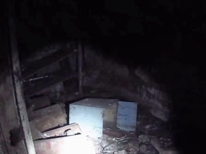 В воронежской пятиэтажке нашли подвал из фильмов ужасов