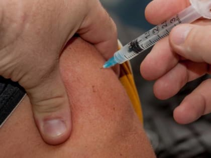 Вакцинация против гриппа в Воронеже: только 37% работодателей принимают меры