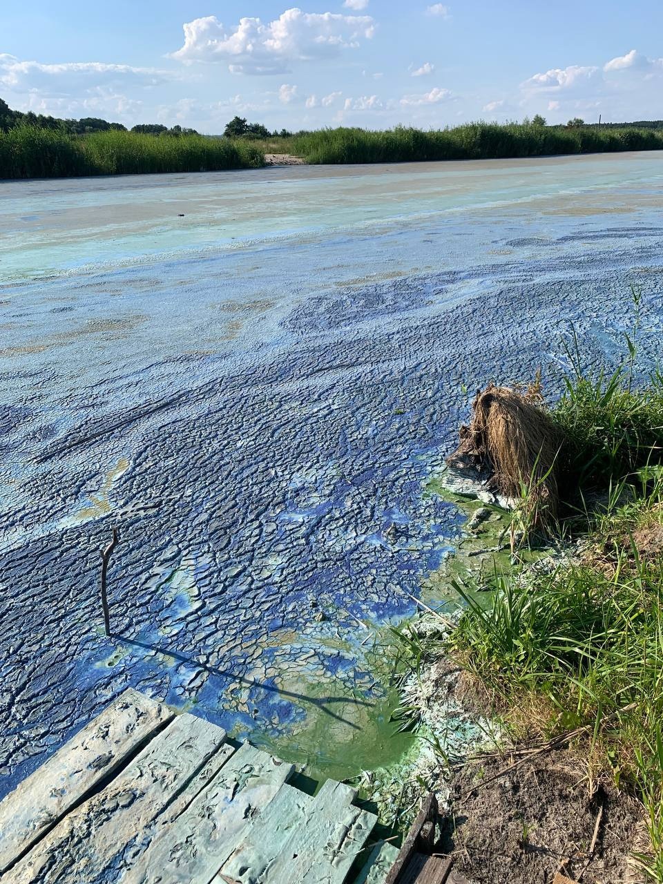 река воронеж до водохранилища