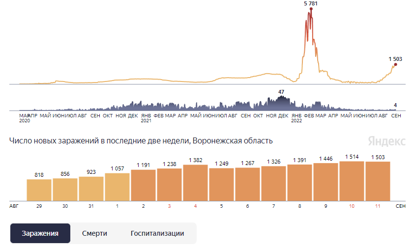 Заболеваемость ковидом сегодня. Статистика Ковида. Динамика заболевания Ковидом. Статистика ковид за все время. График заболевания Ковидом в Воронежской области на 2 октября 2022 год.