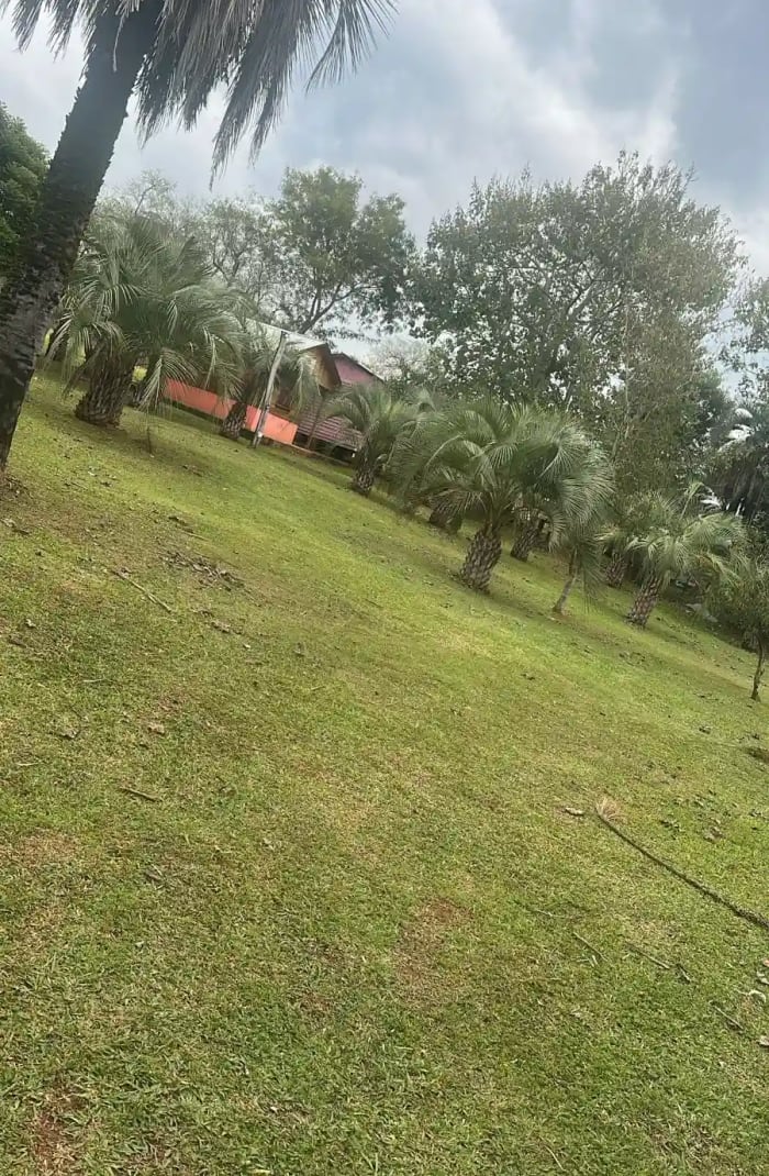 Vista de galería privada