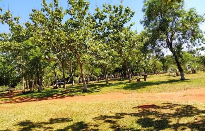 Experiencia de camping