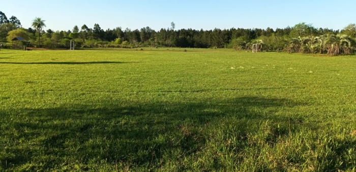 Cancha de fútbol césped natural