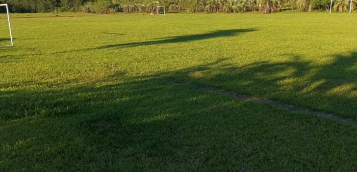 Vista lateral de la cancha