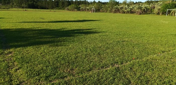 Vista aérea de la cancha