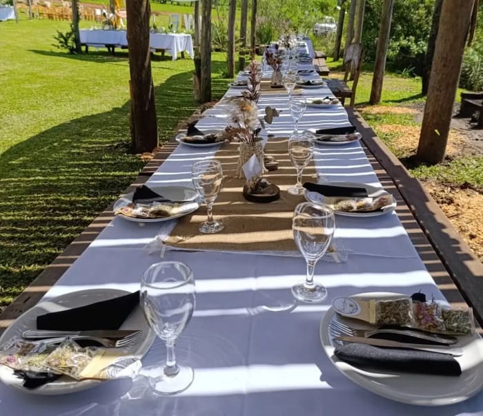 Celebración al aire libre con amigos