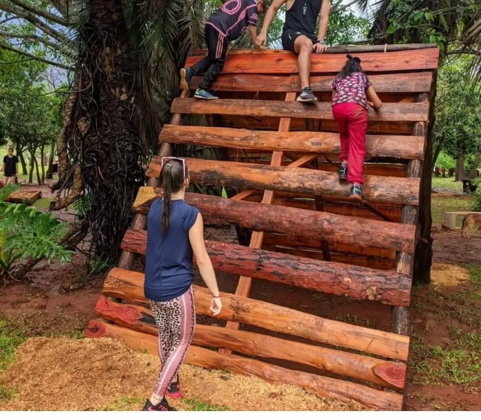 Juego de la escalada