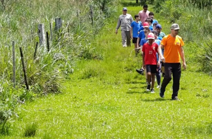 Senderos en la Selva