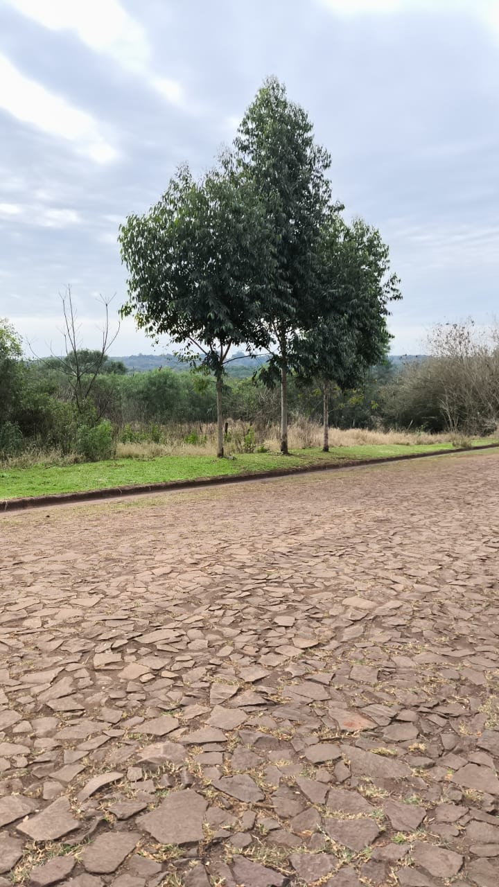 Loteo Altos de Apóstoles — lotes en Apóstoles, Misiones