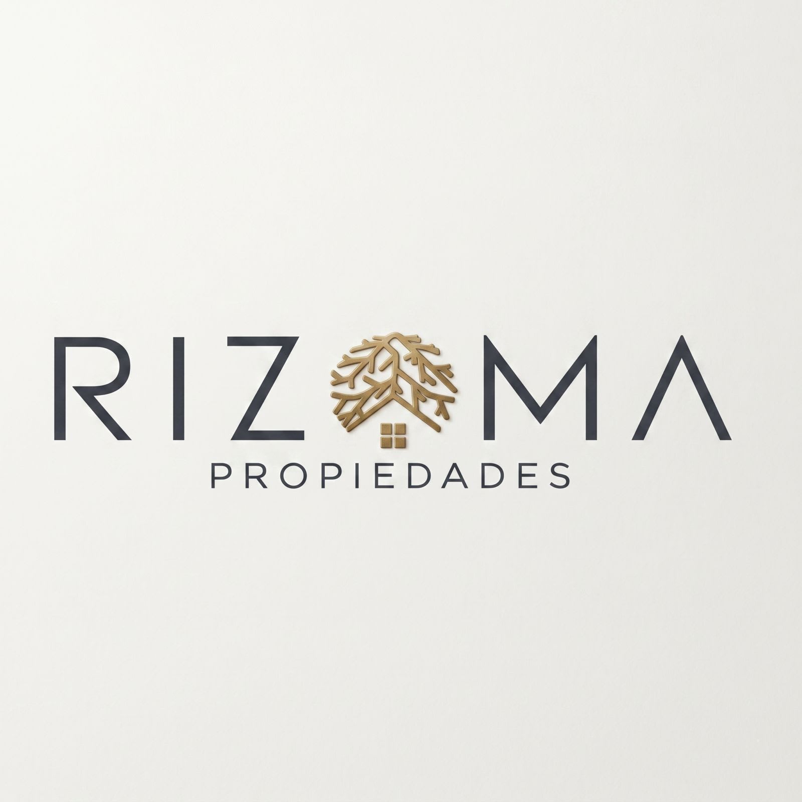 Rizoma Propiedades