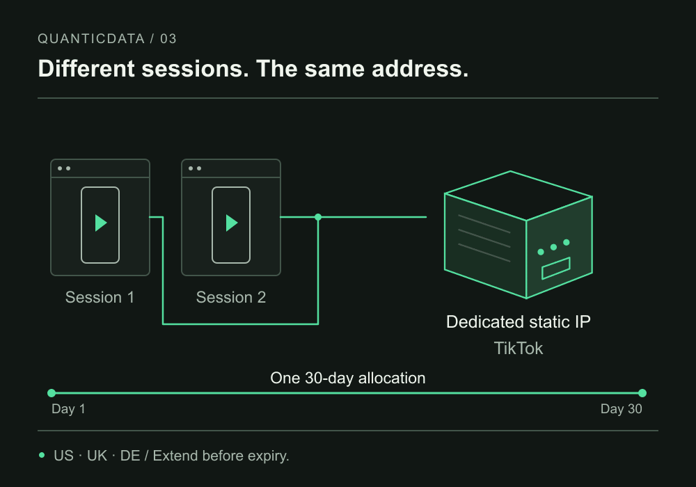Two TikTok client sessions connect through the same dedicated ISP IP during one 30-day allocation.