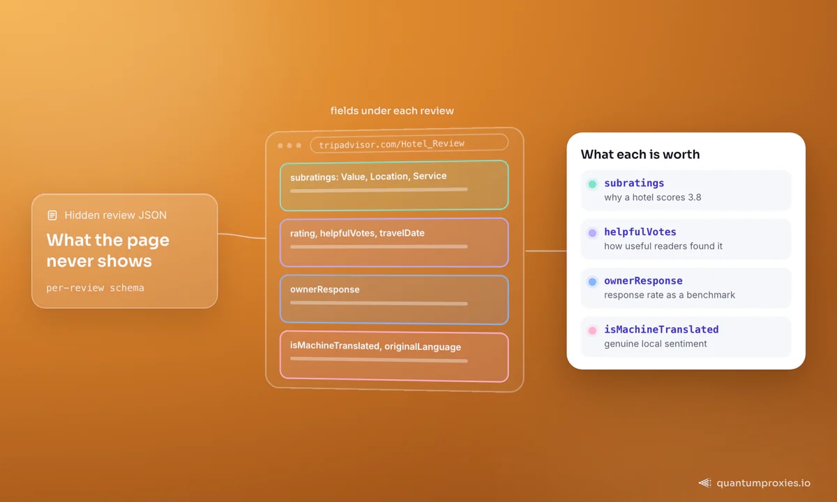 Uma avaliação do TripAdvisor com seus campos JSON ocultos desenhados como zonas: subavaliações de custo-benefício, localização e serviço, nota com votos de utilidade e data da viagem, a resposta do proprietário e as flags de tradução; o quadro diz quanto vale cada um, de explicar uma nota 3,8 a separar o sentimento local genuíno.