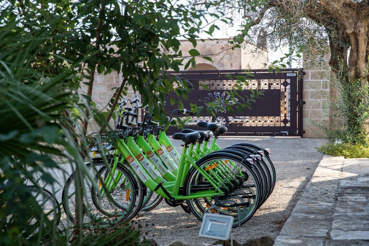 Noleggio bici 