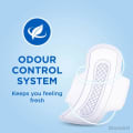 Stayfree Sanitary Napkins Ultra Thin Dry Back View