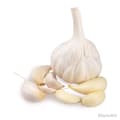 Fresh Organic Garlic, 100g Side View