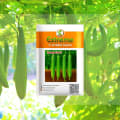 EXTREME SEEDS Fresh 10g Side View
