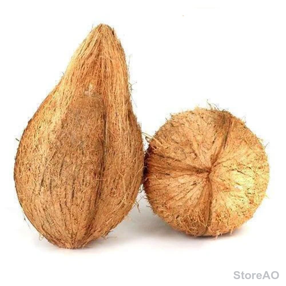 Fresh Coconut for Kalash 1Pc (Approx. 250 g)