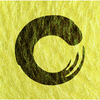 Culture Amp logo