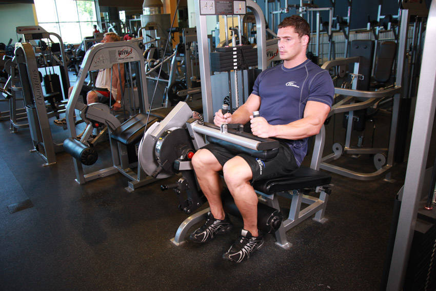 Seated Leg Curl