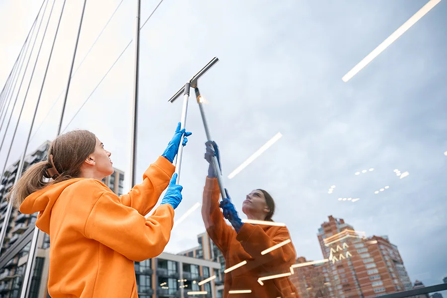 Ambassador Window Cleaning