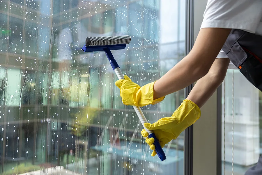 Alpine Window Washing