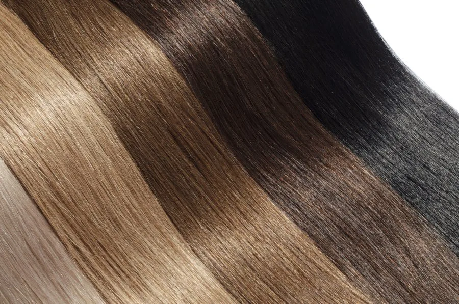 Bella Shears & Extensions