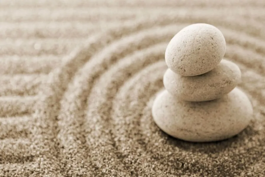 Purpose Yoga
