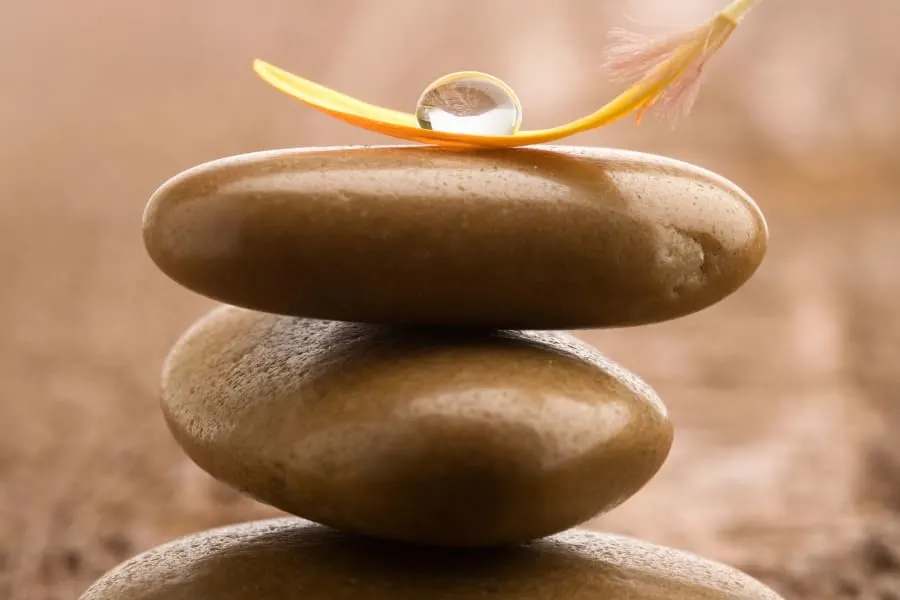 Not Just Yoga