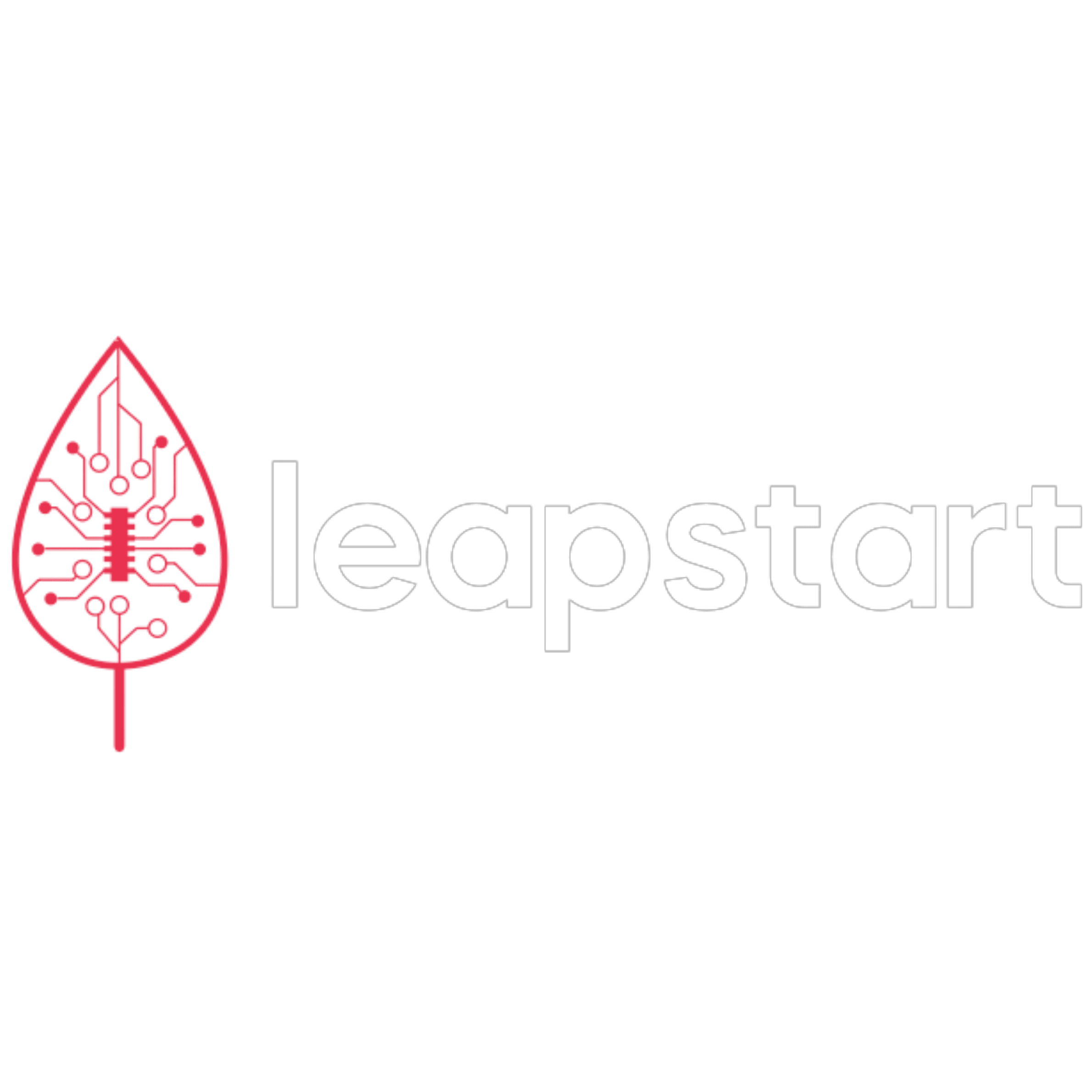 Leapstart