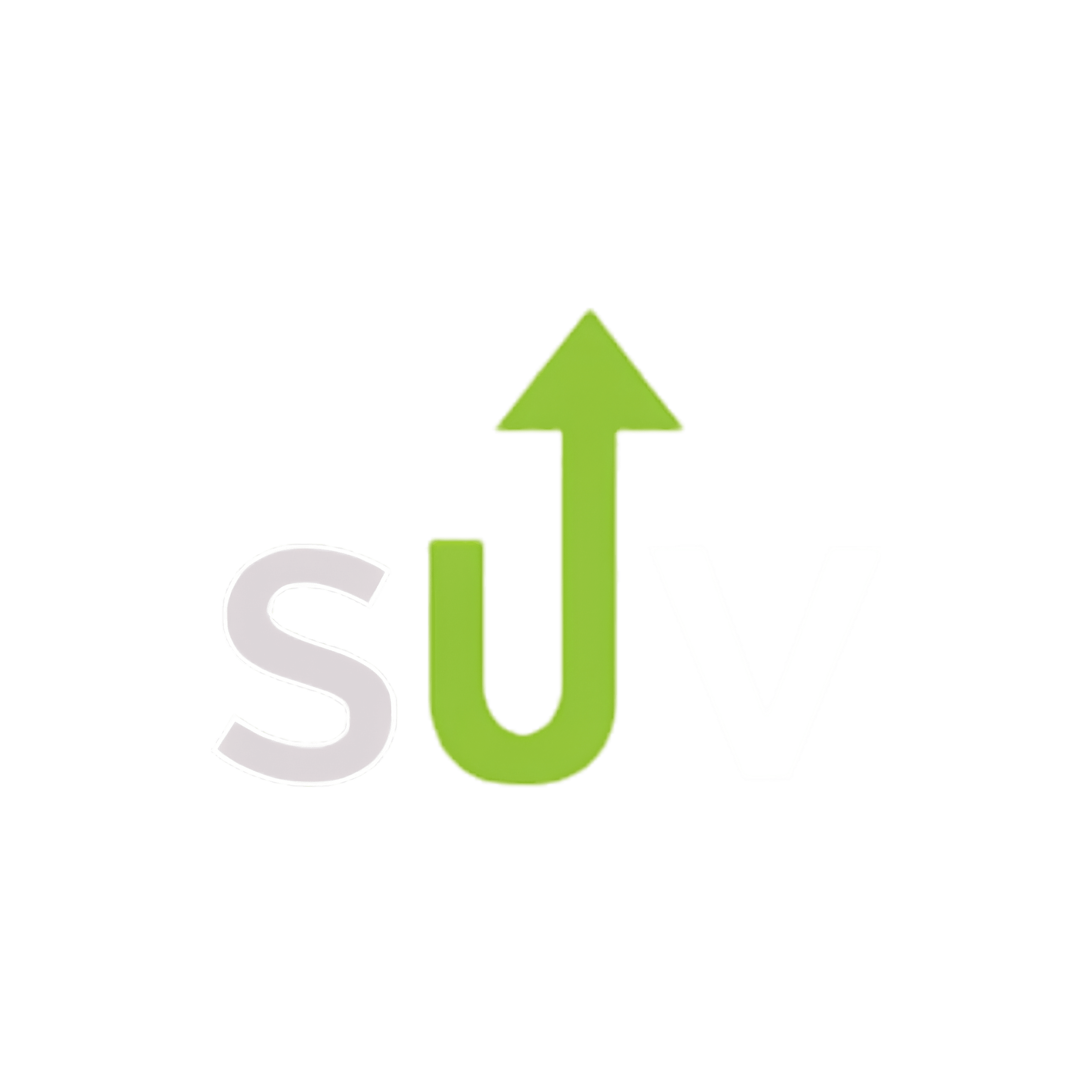 Startup Village