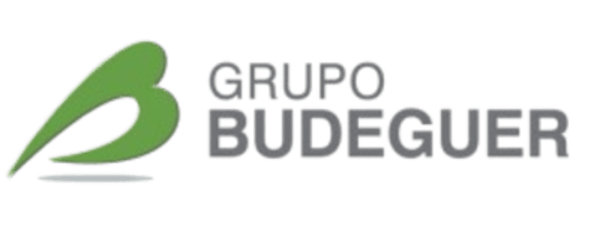 Grupo Budeguer