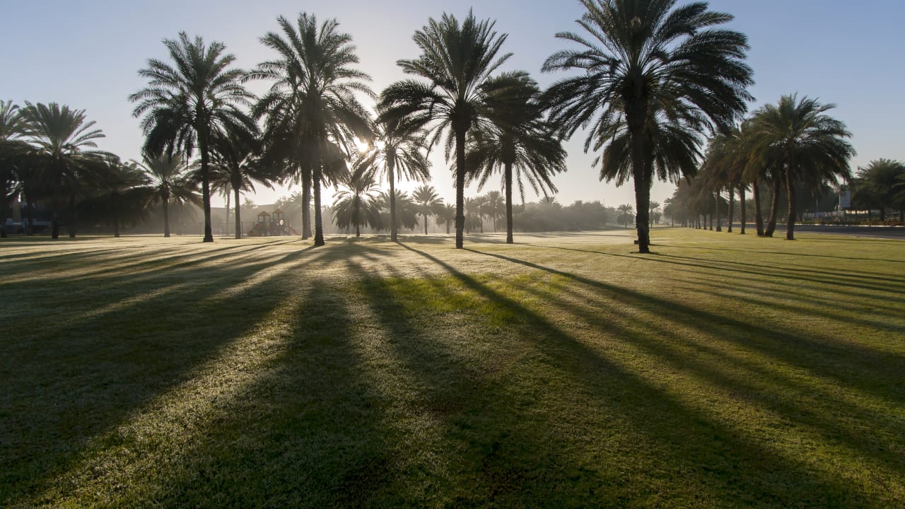 Sahwa Gardens